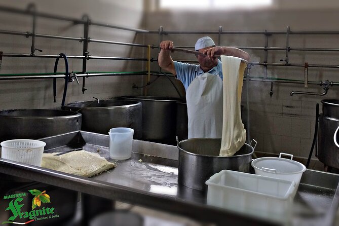 Mozzarella Experience - Cheese Tour and tastings to Masseria Fragnite - From farm road to cheese center: what this Mozzarella Experience really is