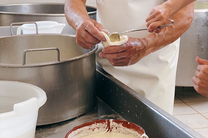 Mozzarella Experience - Cheese Tour and tastings to Masseria Fragnite - Timing and logistics in rural Puglia: how not to miss the morning session