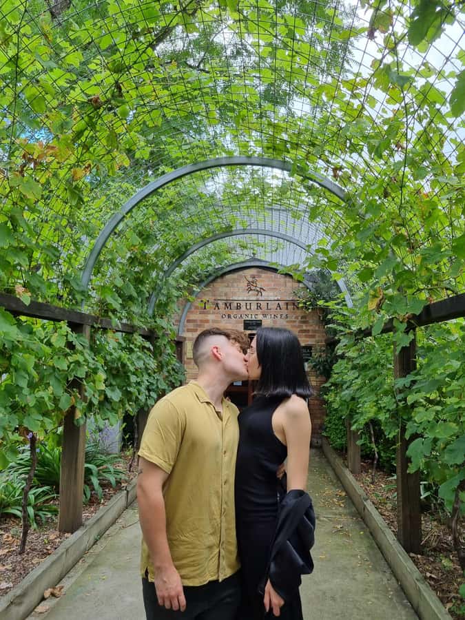 Newcastle: Hunter Valley Wine, Gin, Cheese & Chocolate Tour - Three Boutique Winery Visits: Tastings, Pace, and What Each Stop Feels Like