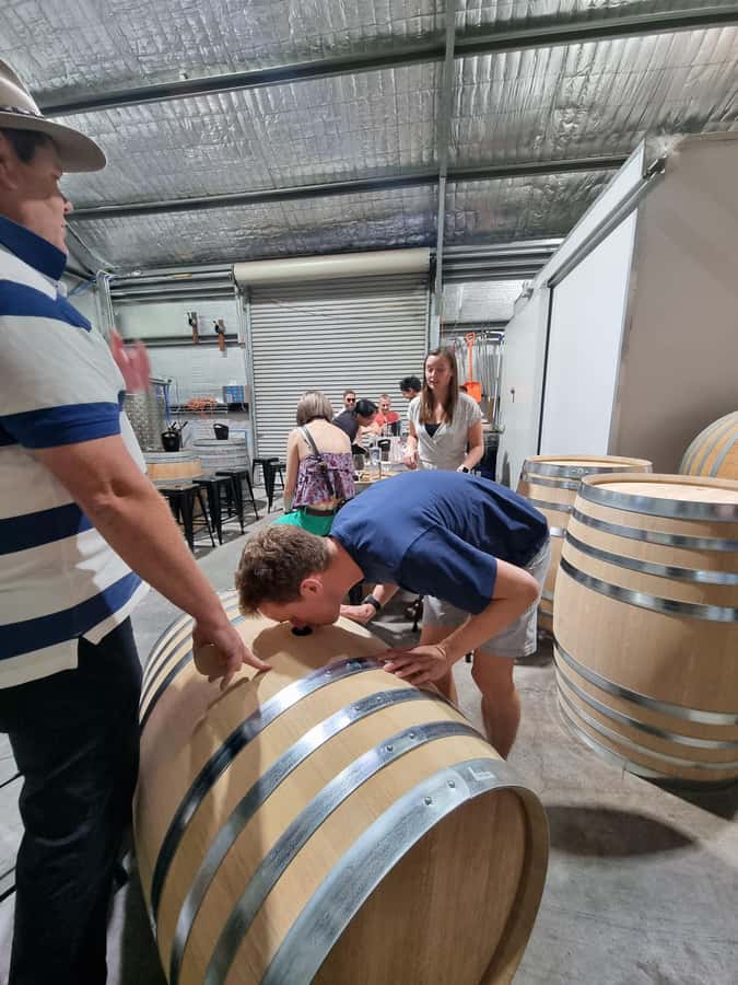 Newcastle: Hunter Valley Wine, Gin, Cheese & Chocolate Tour - Should You Book This Newcastle to Hunter Valley Wine, Gin, Cheese & Chocolate Tour?