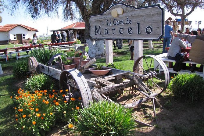 Ojos Negros Valley Wine and Cheese Route Tour in Baja California - Key highlights you’ll feel on the day