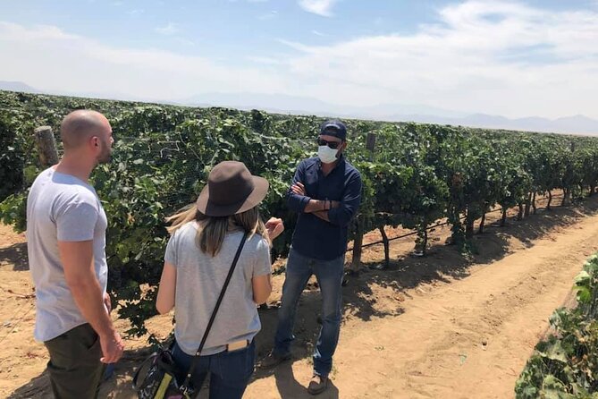Ojos Negros Valley Wine and Cheese Route Tour in Baja California - La Cava de Marcelo: Ramonetti cheeses (since 1911) plus paired wine