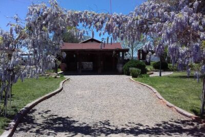 Ojos Negros Valley Wine and Cheese Route Tour in Baja California - The 11:00 a.m. start, pickup zones, and how to prep