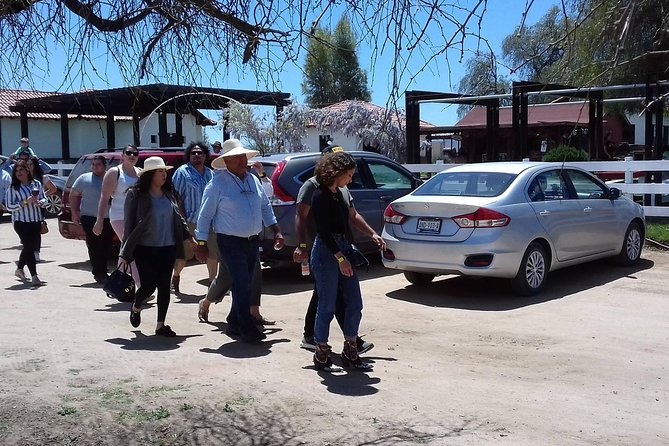 Ojos Negros Valley Wine and Cheese Route Tour in Baja California - Price and value: what you get for $149.36 and where extra costs show up