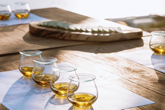 Olive Oil, Cheese, and Wine Tasting with Local Expert - Key highlights you’ll care about