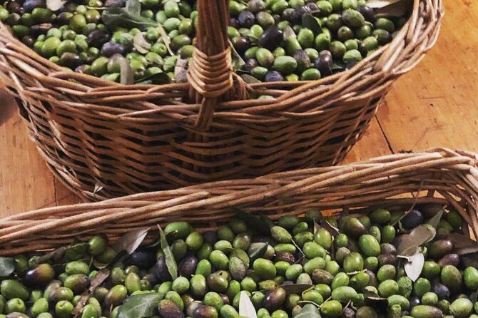Olive Oil, Cheese, and Wine Tasting with Local Expert - Olive Grove to Tasting Table: What You Actually Do