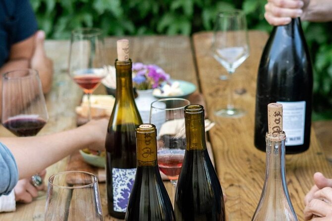 Olive Oil, Cheese, and Wine Tasting with Local Expert - How You Learn to Taste Extra Virgin Olive Oil (Without Pretending It’s Rocket Science)