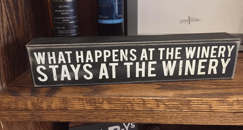 Ontario: Afternoon Wine Tour and Cheese Pairing - The Wine-and-Cheese Pairing: Where the Tastings Click