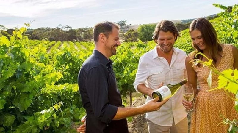 Ontario: Afternoon Wine Tour and Cheese Pairing - The 3-Winery Game Plan: How You Taste More (and Guess Less)