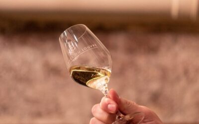Paris: Apéro Wine and Cheese Tasting Experience - Your One-Hour Apéro Flow: How the Tasting Unfolds