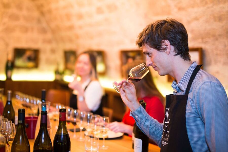 Paris: The Ultimate Wine and Cheese Tasting in English - Tasting Techniques and Wine Style Recognition You’ll Use Later