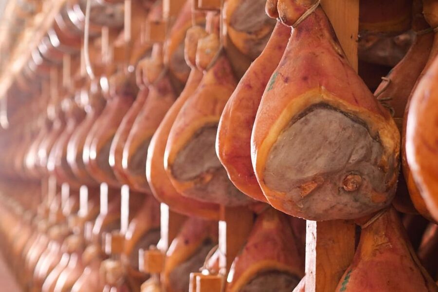 Parma: Cheese, Ham, & Balsamic Vinegar Tour with Tastings - Tastings, Pairings, and How to Shop Without Regret