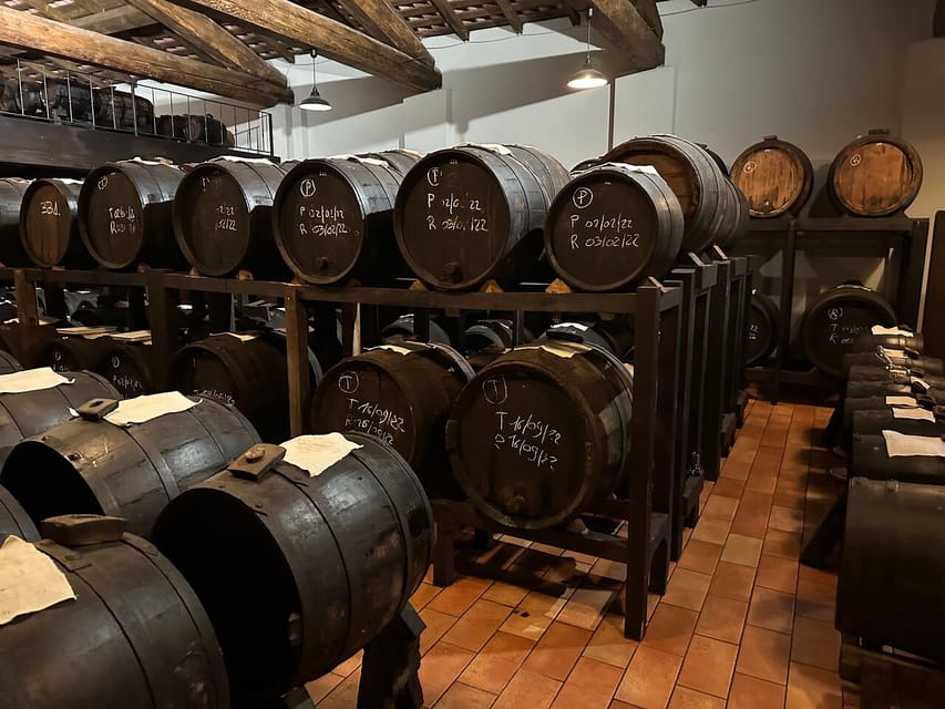 Parma: Cheese, Ham, & Balsamic Vinegar Tour with Tastings - Who This Tour Fits (and Who Should Rethink It)