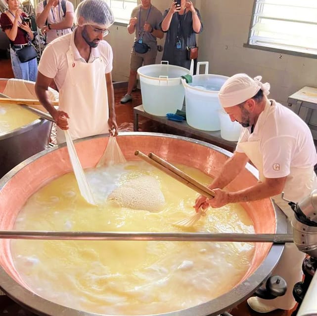 Parma: Cheese, Ham, & Balsamic Vinegar Tour with Tastings - Final Call: Should You Book This Parma, Cheese, Ham, and Balsamic Tour?