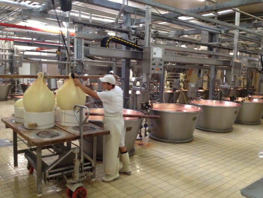Parma: Parmigiano Reggiano Farm Tour & Tasting with Transfer - Key Points to Know Before You Go