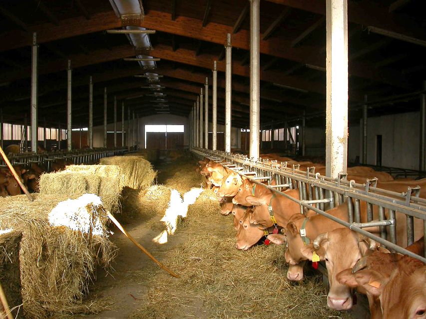 Parma: Parmigiano Reggiano Farm Tour & Tasting with Transfer - Consorzio Testing You Can See: Hammer, Fire-Brand, Trust
