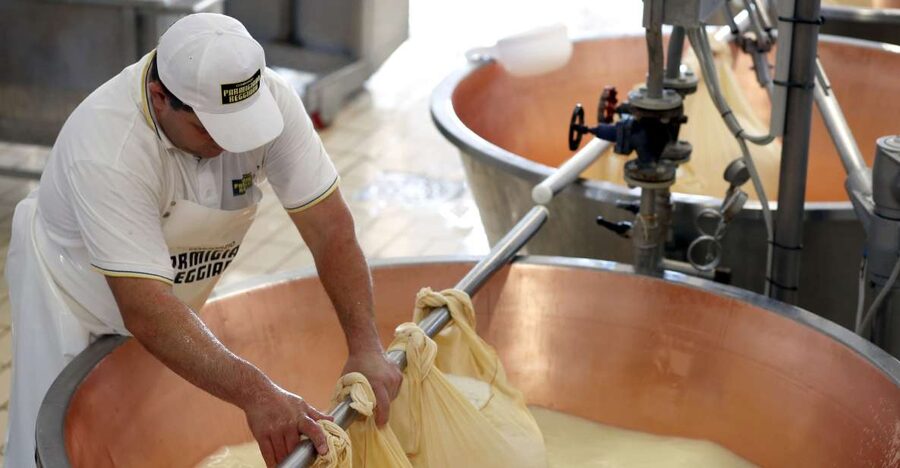 Parma: Parmigiano Reggiano Farm Tour & Tasting with Transfer - Small Group Energy: Why Max 10 Is a Real Benefit