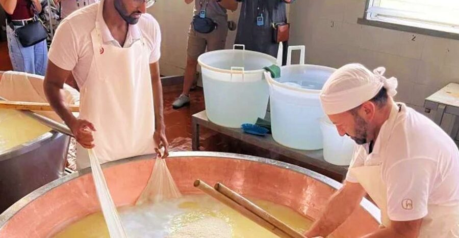 Parma: Traditional Cheese Factory Visit with Tasting - Parmigiano-Reggiano is a protected craft, not just cheese