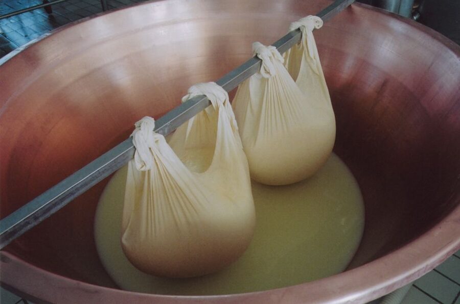 Parma: Traditional Cheese Factory Visit with Tasting - Tasting Parmigiano with local wine, plus shopping for take-home cheese