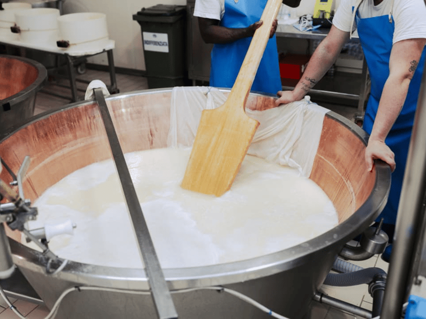 Parmesan Cheese Factory Tour & Tasting near Parma - Parmigiano Reggiano at Azienda Agricola Bertinelli: What You Get in 60 Minutes