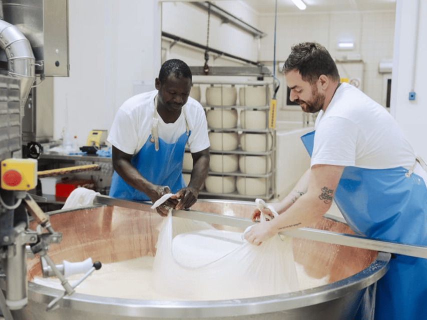Parmesan Cheese Factory Tour & Tasting near Parma - Tasting Parmigiano Reggiano at Three Ages (15, 24, 36 Months)