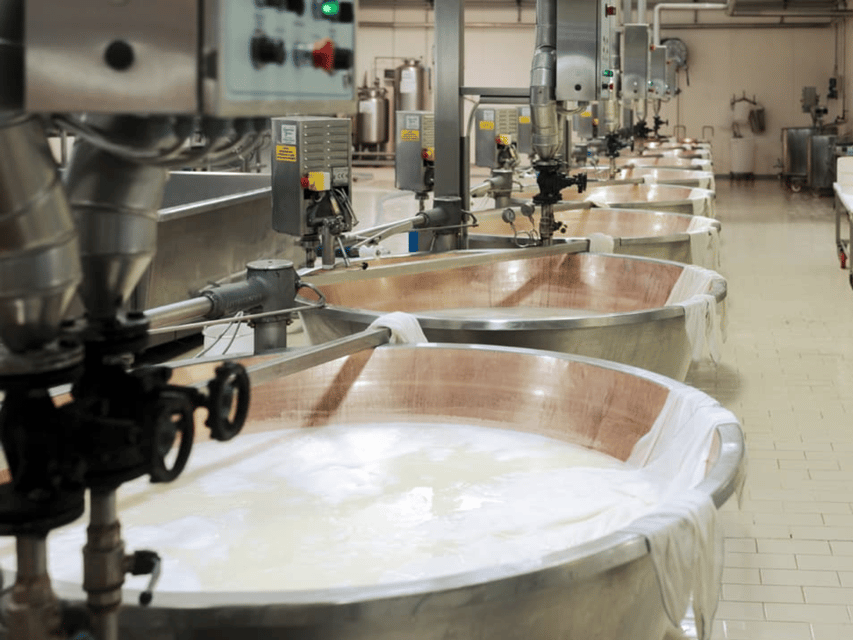 Parmesan Cheese Factory Tour & Tasting near Parma - Sustainable Farming and Animal Welfare: What You Learn Beyond the Cheese