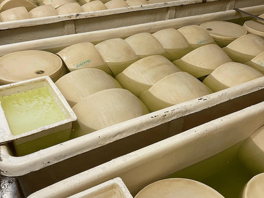 Parmesan Cheese Tour & Tasting in Modena - The Aging Warehouse: Standing Face-to-Wheel with 6,000+ Parmigiano Reggiano