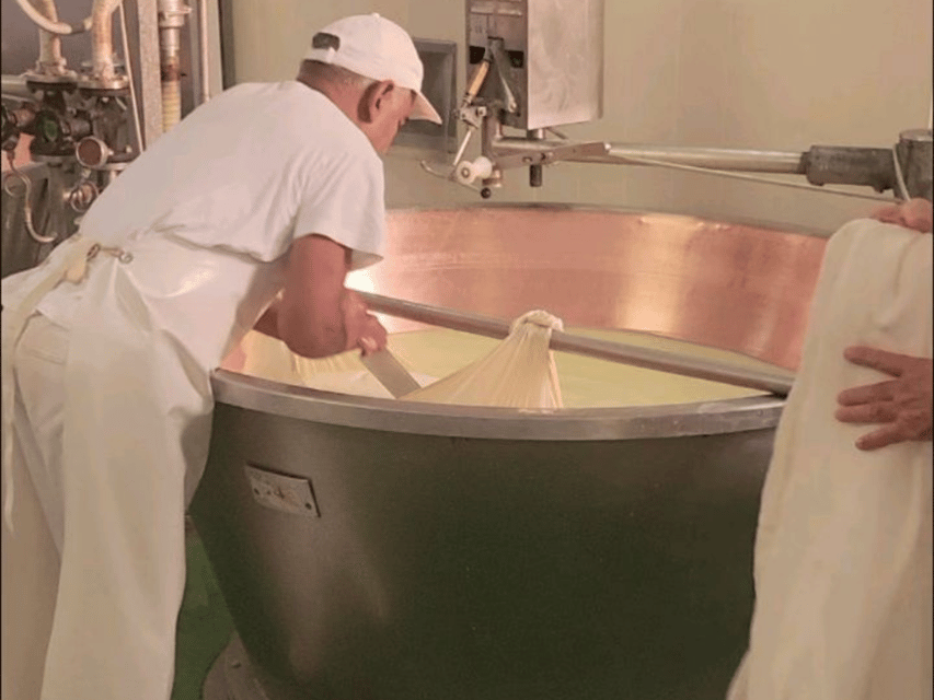 Parmesan Cheese Tour & Tasting in Modena - Lambrusco DOC Pairing (and Mineral Water for a Clean Palate)