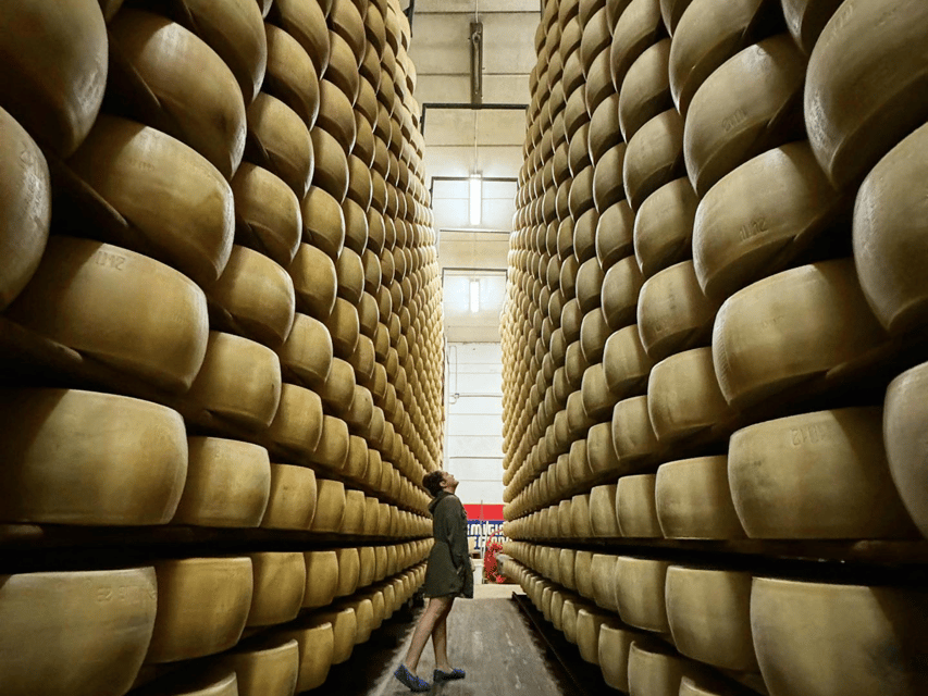 Parmesan Cheese Tour & Tasting in Modena - Price and Value: What You Get for $58