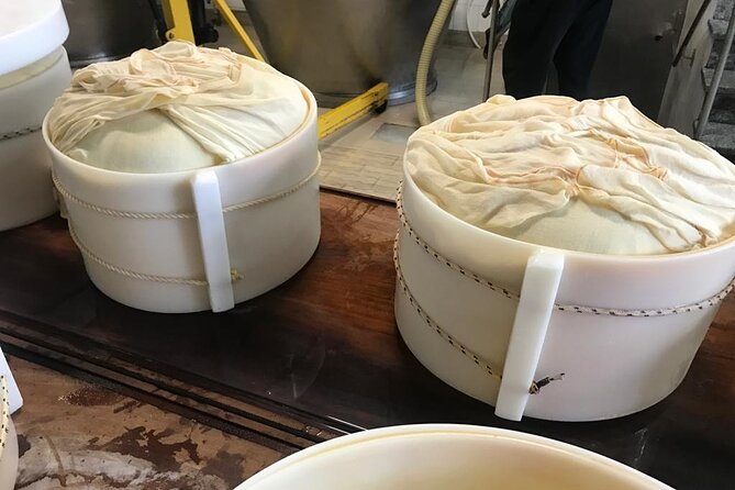 Parmigiano Cheese Factory Visit and Tasting - What to Buy (And What to Skip) After the Tasting