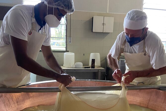 Parmigiano-Reggiano Cheese Factory Small group Tour From Parma - Should You Book This Parmigiano-Reggiano Factory Tour?