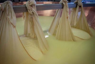 Parmigiano Reggiano Cheese Factory Tour & Tasting Experience - Stop 1: Breakfast at Via Città del Tricolore, 1