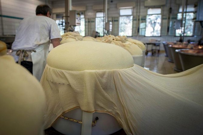 Parmigiano Reggiano Cheese Factory Tour & Tasting Experience - The Farm Side: Seeing the Cows Behind the Milk