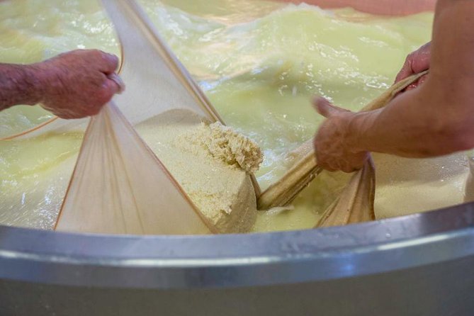 Parmigiano Reggiano Cheese Factory Tour & Tasting Experience - Getting There: Meeting Point, Timing, and Pickup Help