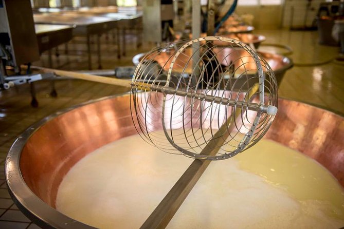 Parmigiano Reggiano Cheese Factory Tour & Tasting Experience - Who This Tour Is Best For