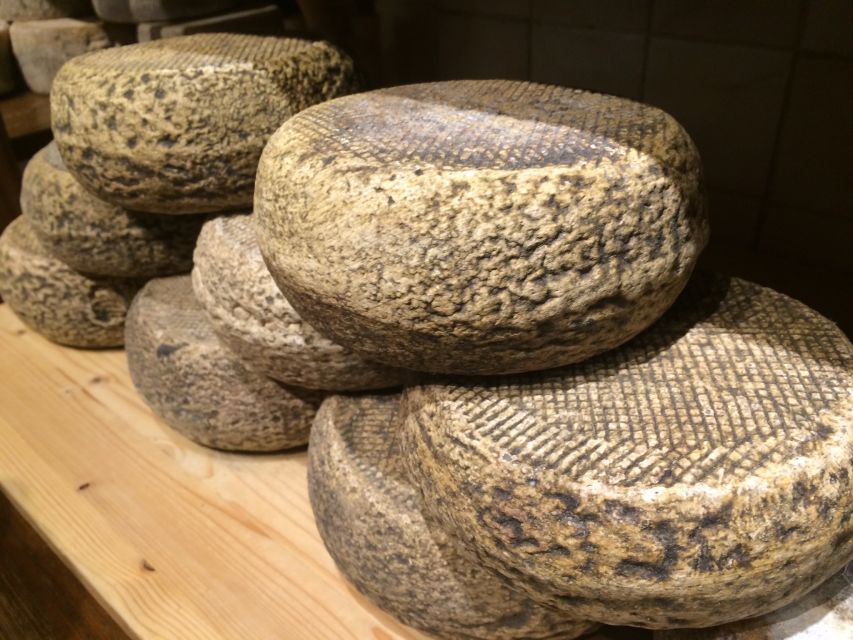 Pienza: Dairy Farm Tour with Pecorino Cheese Tasting - Key things to know before you go