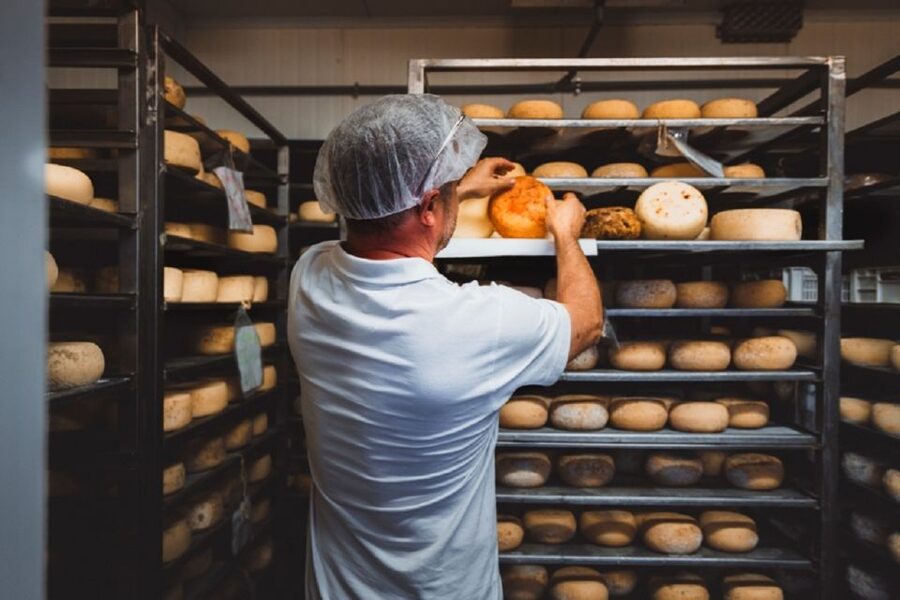 Pienza: Dairy Farm Tour with Pecorino Cheese Tasting - Sheep grazing and milk quality: where flavor starts