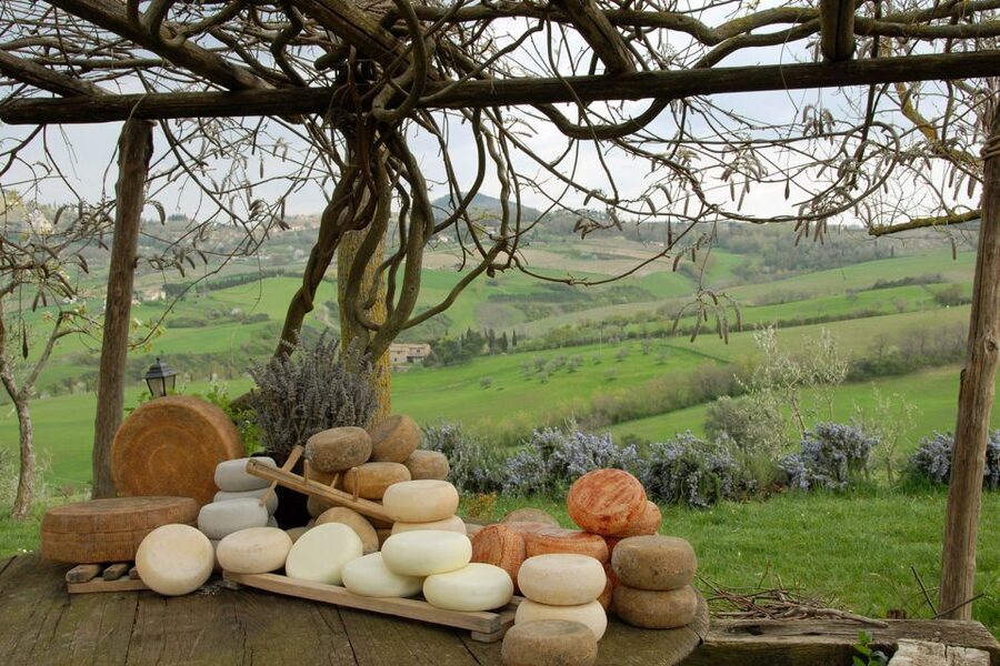 Pienza: Dairy Farm Tour with Pecorino Cheese Tasting - Price and value: is $77 for 2 hours fair?
