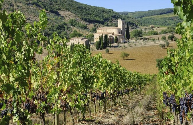 Pienza, Montalcino, Brunello Wine and Pecorino Cheese PRIVATE TOUR from FLORENCE - Key things that make this tour worth your time