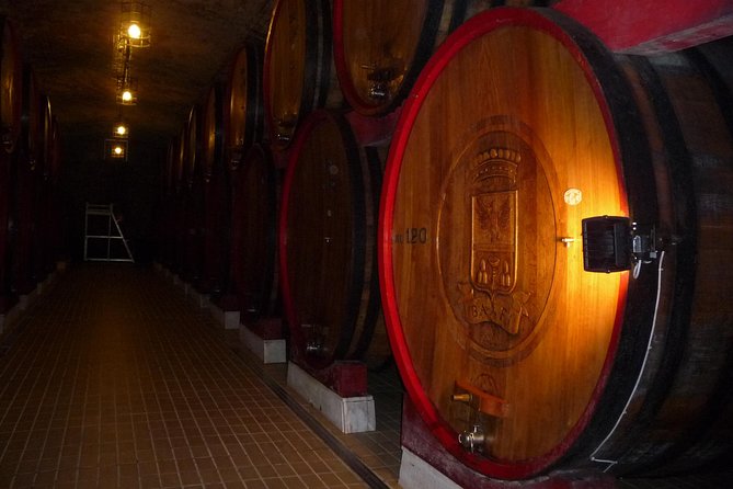 Pienza, Montalcino, Brunello Wine and Pecorino Cheese PRIVATE TOUR from FLORENCE - Brunello di Montalcino: the guided tasting that adds meaning