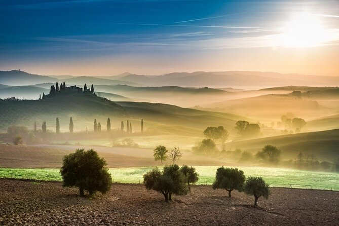 Pienza, Val d'Orcia, Montalcino wine and Pecorino cheese PRIVATE TOUR from SIENA - Key reasons this tour is getting such strong marks