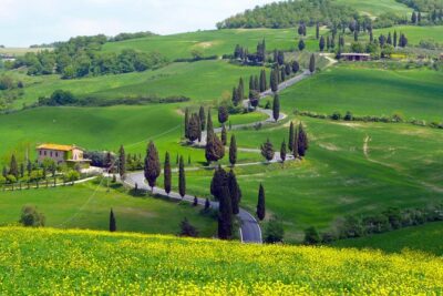Pienza, Val d'Orcia, Montalcino wine and Pecorino cheese PRIVATE TOUR from SIENA - Hotel pickup that really changes your day