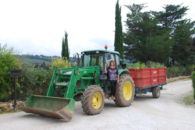 Pienza, Val d'Orcia, Montalcino wine and Pecorino cheese PRIVATE TOUR from SIENA - Lunch and tastings: what’s included, what’s not, and how to budget
