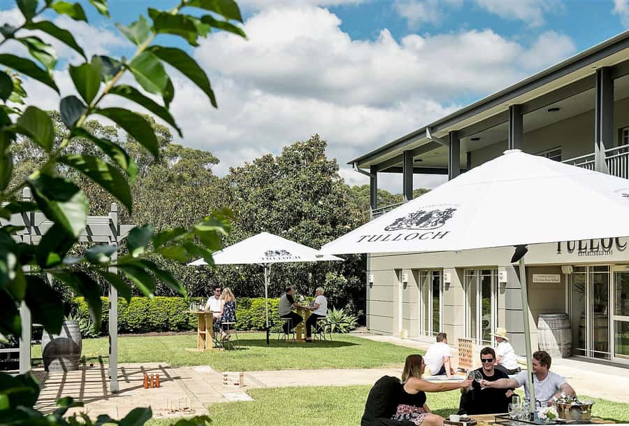 Pokolbin: Tulloch Hunter Heroes Wine Tasting & Cheese Board - The Hunter Heroes wine lineup: 6 wines with a clear purpose
