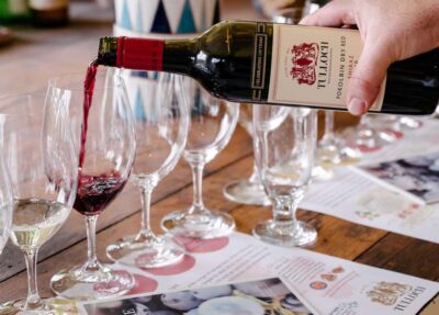 Pokolbin: Tulloch Hunter Heroes Wine Tasting & Cheese Board - Your seated tasting setup at Tulloch Wines