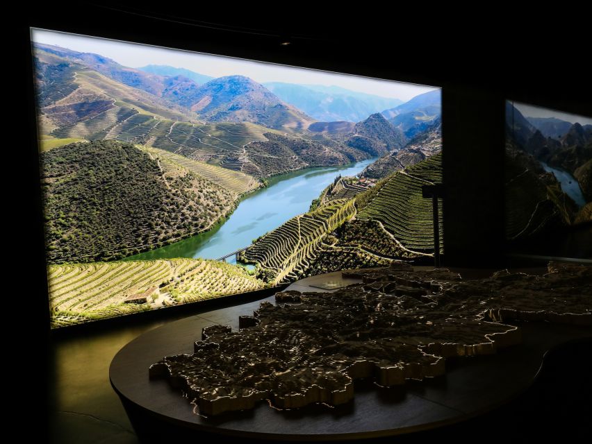 Porto: Cálem Cellar with Chocolate, Cheese, and Wine Tasting - Who this tour suits best (and who should think twice)