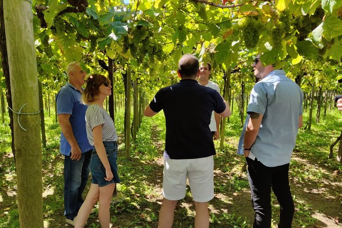 Private Basque Cheese & Txakoli Wine Tour from San Sebastian - The Scenic Return: Mount Igeldo Views and Coastal Road Breathing Time