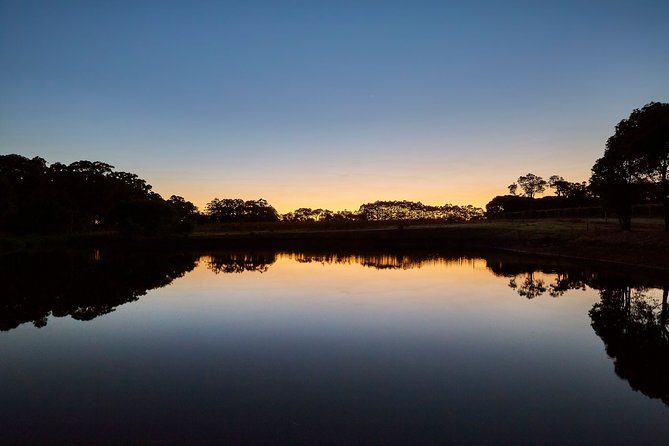 Private Classical Wine and Cheese Pairing Experience - The estate setting and service style in Cowaramup
