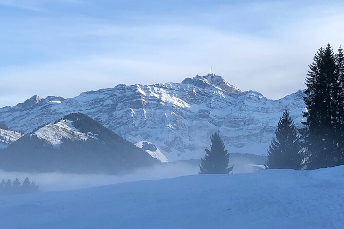 Private Guided Swiss Alps Day Trip from Zurich with Hotel Pick-Up - Säntis summit by cable car (and 2026 plan B): the view, the restaurants, the adventure factor