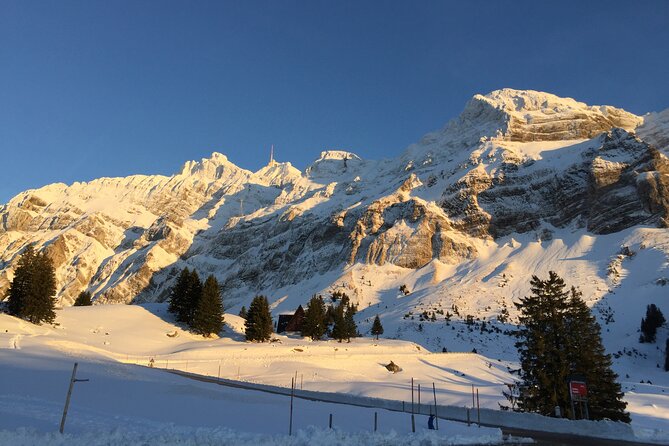 Private Guided Swiss Alps Day Trip from Zurich with Hotel Pick-Up - Price and value: what you’re really paying for at $369.13 per person